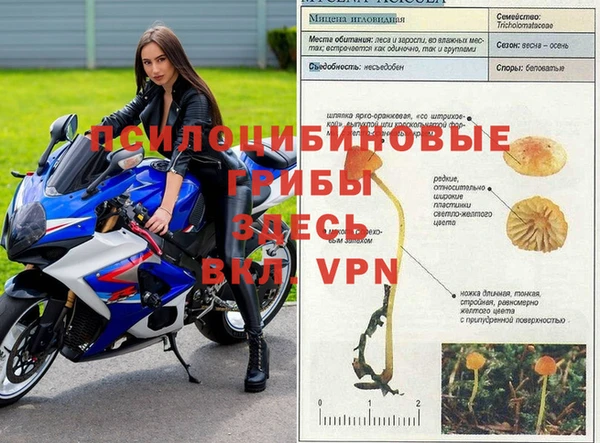 эйфоретик Лабытнанги
