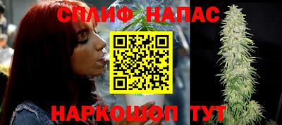 гидра Комсомольск-на-Амуре
