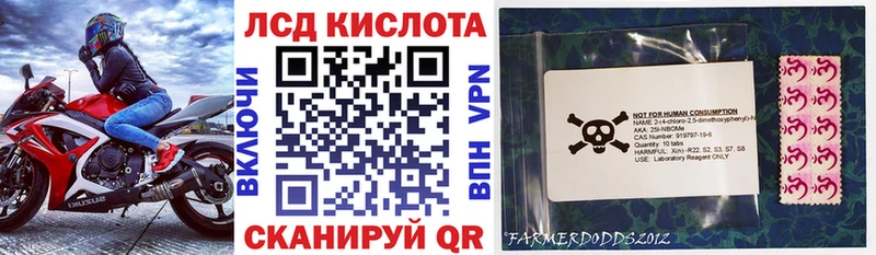 Наркотические марки 1,5мг Камышин