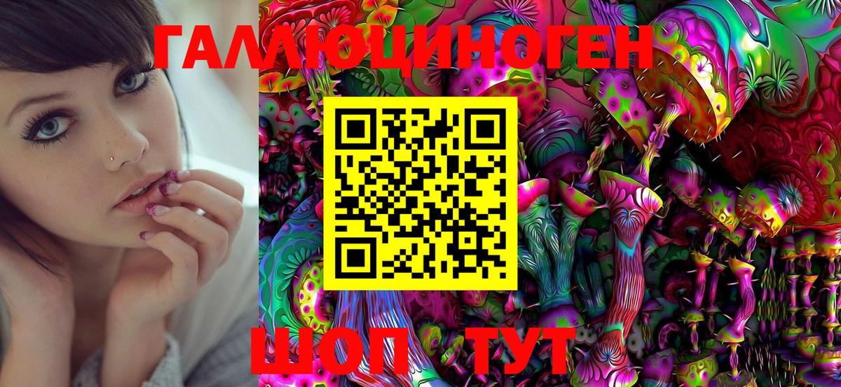 Камышин  Псилоцибиновые грибы MAGIC MUSHROOMS  Галлюциногенные грибы Psilocybine cubensis  Вход с VPN 