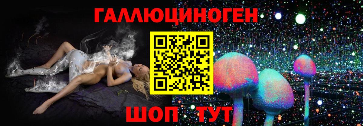 Галлюциногенные грибы прущие грибы Камышин