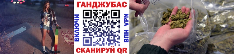 OMG онион  Камышин  Шишки марихуана сатива 